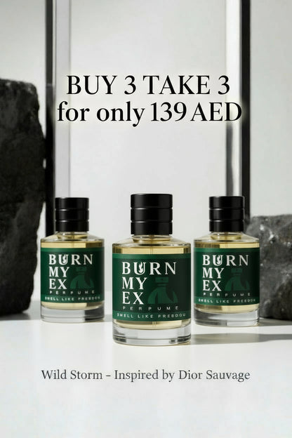 Wild Storm – Inspired by Sauvage Men (50ml)